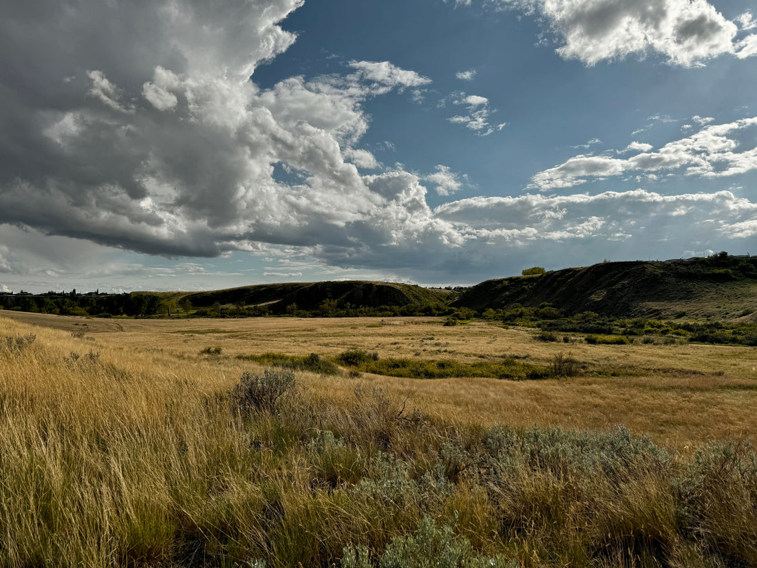 Move with Authenticity: Being True to Your Path