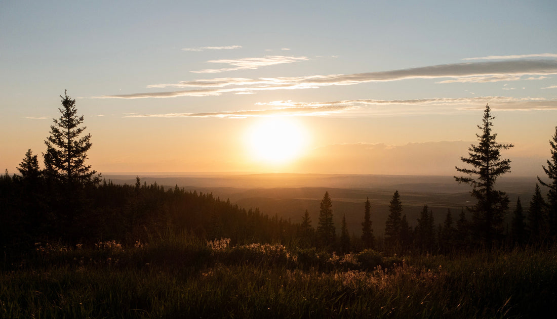 Move with Birdesc: Enjoy the Journey