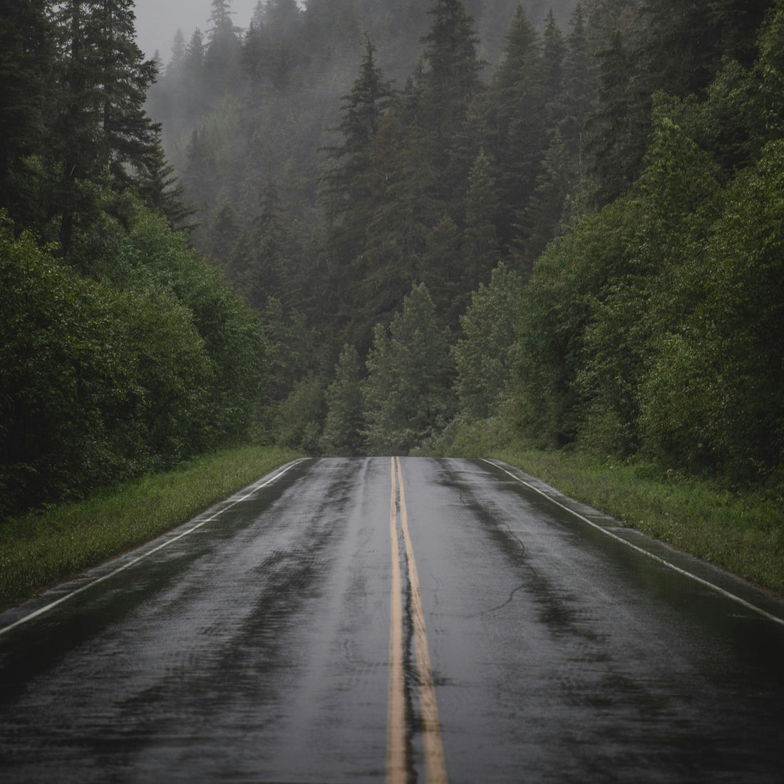 Move with Perspective: Seeing the Good in the Bad