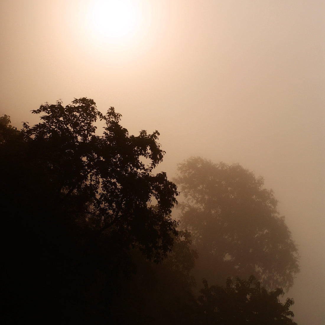 Move with Contrast: The Beauty of Having Opposite Sides